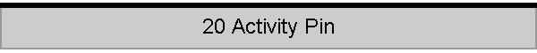 20 Activity Pin